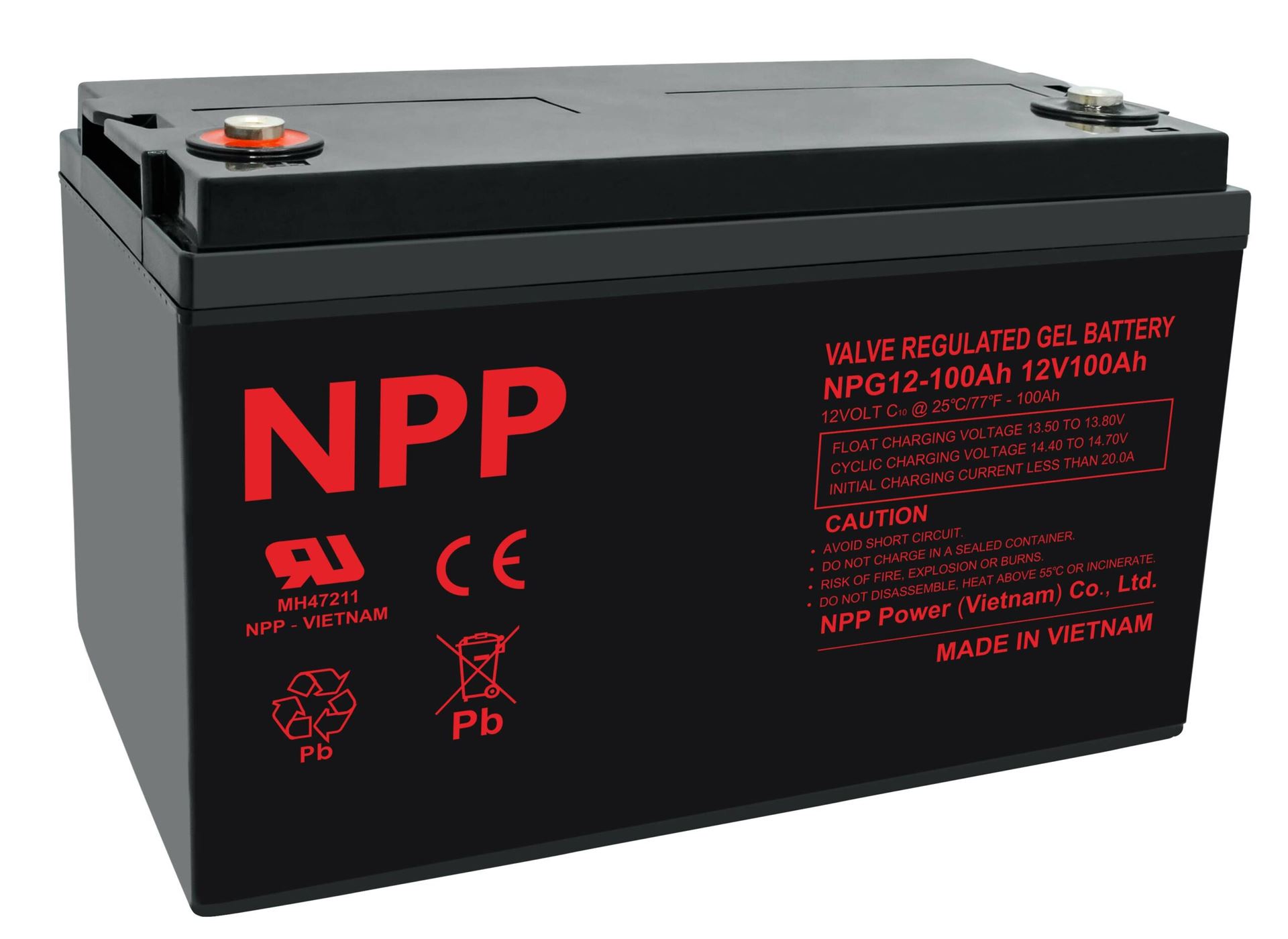 Акумуляторна батарея NPP NPG12-100